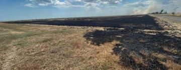 «Зекономив»: позбавлення волі загрожує жителю Одещини за підпал стерні 