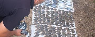 На Одещині викрито незаконний вилов риби: завдані збитки оцінюються у понад 15 мільйонів гривень