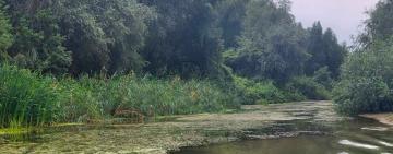 В Ізмаїльському районі обговорили відновлення повноводності Кислицького рукава Дунаю