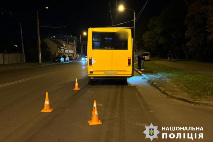 В Одесі їжак став причиною ДТП: постраждала одна людина