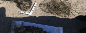 На Одещині затримано браконьєра, який наловив раків на 333 тис грн 