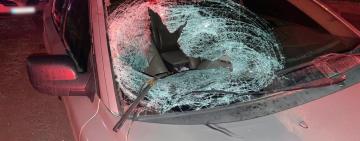 Смертельна ДТП на трасі Одеса-Рені: поліцейські встановлюють особу загиблого