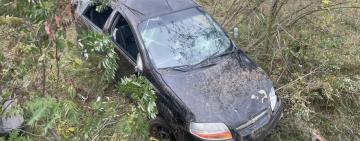 На трасі Одеса-Рені водійка не впоралась з керуванням, виїхала з дороги і влетіла у дерево