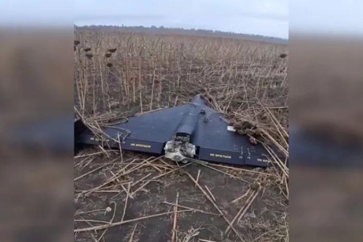 На Одещині фермер знайшов у полі російський шахед