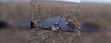 На Одещині фермер знайшов у полі російський шахед