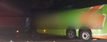 Жахлива ДТП за участі пасажирського автобуса, вантажівки і легковиків: є жертви