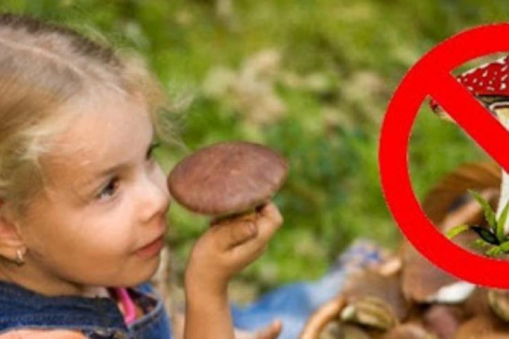 Отруєння грибами в Ізмаїльському районі: двоє дітей госпіталізовані