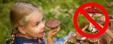 Отруєння грибами в Ізмаїльському районі: двоє дітей госпіталізовані