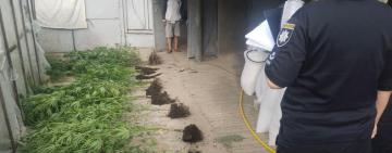 Обвинувальні вироки суду отримали двоє жителів з Арцизької та Болградської громад за оборудки з наркотиками