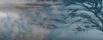 Попередження про небезпечні погодні умови в Одеській області: жовтий рівень небезпеки