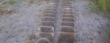 Незаконна риболовля на 191 тисячу гривень: мешканець Одещини отримав вирок