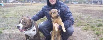 За 32 роки життя врятував сотні собак і котів: відомий волонтер з Ізмаїла розповів, чому допомагає тваринам (відео)
