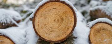 Чи передбачена відповідальність за зберігання дров для особистих потреб?