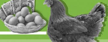 Десяток яєць може коштувати 90 грн