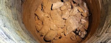 В Одеських катакомбах знову врятували лисицю, яка впала в колодязь