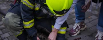 Кожне життя – безцінне: одеські пожежники врятували бабусю і двох її котиків 