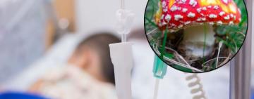 На Одещині знову зафіксовано випадок отруєння грибами