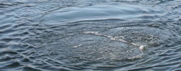 Одразу дві трагічні події стались на Одещині за добу