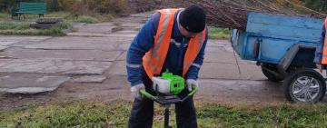 В Кілії комунальники і школярі висадили 200 дерев, які місту подарував благодійник