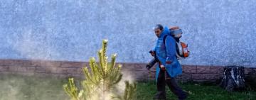 В місті на Одещині хвойні обробляють репелентами від незаконної вирубки