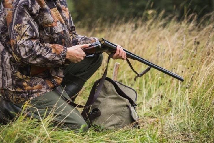 В громаді на Одещині проведуть відлов та відстріл хижих м’ясоїдних тварин