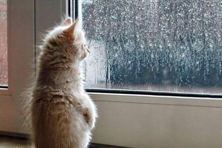 Одещино, готуйся до подиху зими: похолодання суне на область