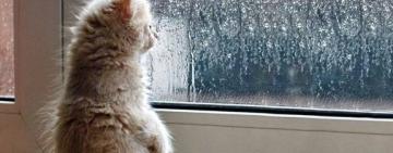 Одещино, готуйся до подиху зими: похолодання суне на область