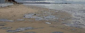 Мазут, який потрапив у Чорне море внаслідок аварії російських танкерів, вже у найближчі дні може дістатися Одещини