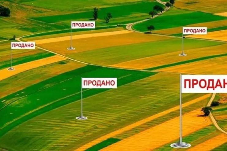 В Україні продано 3,4% сільськогосподарських земель після скасування мораторію: Одещина серед лідерів
