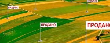 В Україні продано 3,4% сільськогосподарських земель після скасування мораторію: Одещина серед лідерів