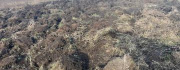 Жителю Білгород-Дністровського району загрожує ув’язнення за самовільне зайняття землі в охоронній зоні