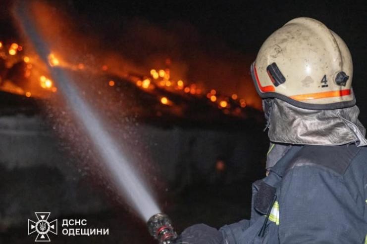 В селі Холмське пожежа забрала життя господаря будинку