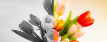 8 Березня: святкувати чи ні?