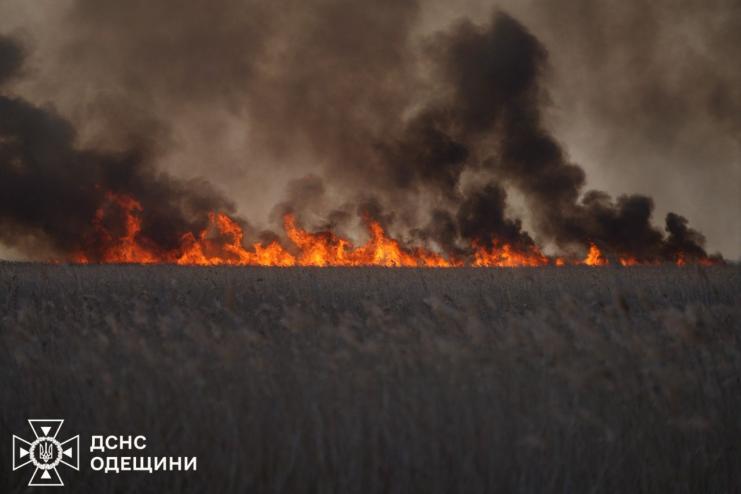  Маякські плавні горять: вогонь охопив понад 10 гектарів, загрожуючи національному парку
