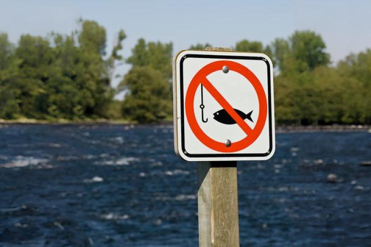 Весняно-літня нерестова заборона на вилов риби: де і коли вона діятиме на Одещині