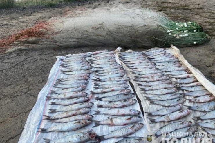 Завдав державі збитків на понад 1,7 мільйона грн через незаконний вилов кефалі у Нацпарку