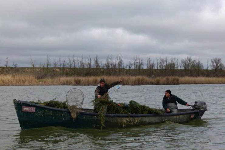 На озерах Ізмаїльського району встановлюють нерестові гнізда