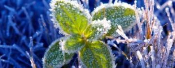 Обійми зими у квітні: в Одеській області — помаранчевий рівень небезпеки