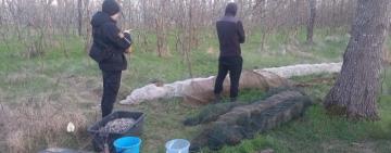 Поліцейські затримали  браконьєра на території Національного природного парку «Тузлівські лимани»