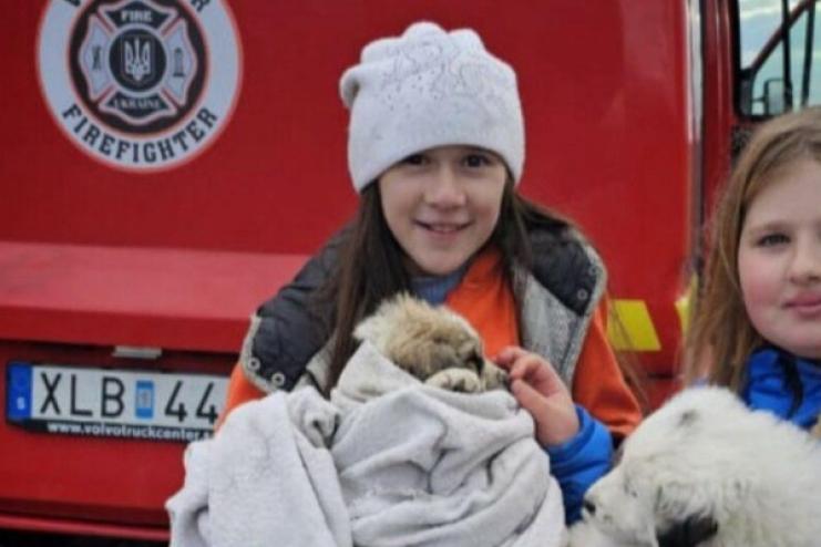 На Одещині врятували цуценя, яке впало у каналізаційну яму
