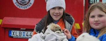 На Одещині врятували цуценя, яке впало у каналізаційну яму