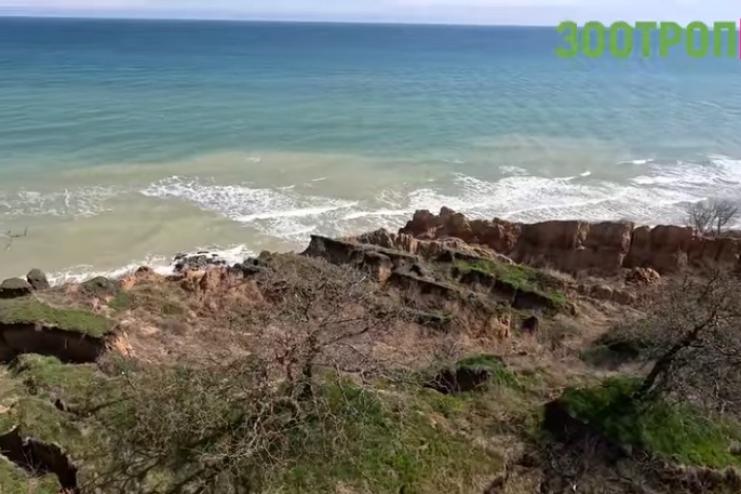 Під Одесою в селищі Санжейка стався масштабний зсув ґрунту в море