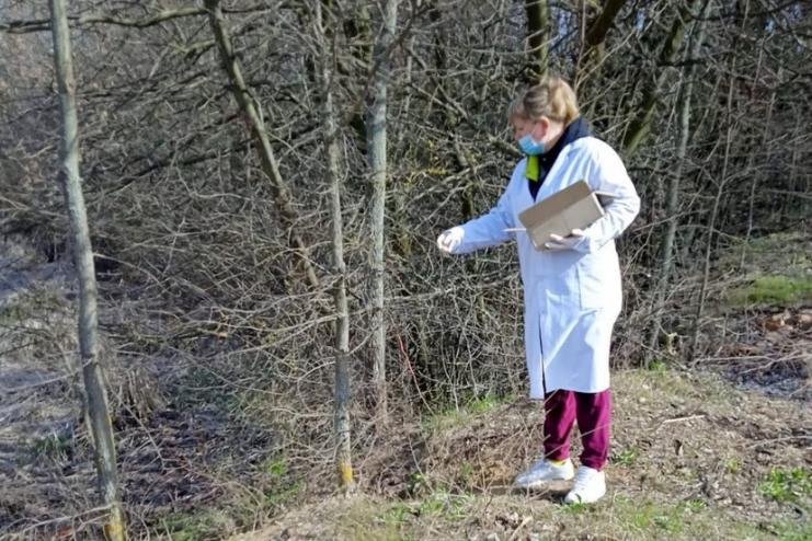 На Одещині завершилася кампанія з імунізації тварин