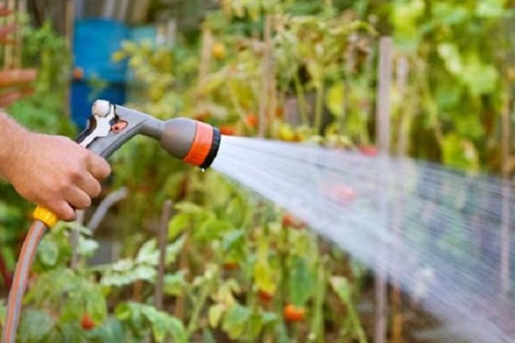 Питна вода — лише для споживання: в громаді на Одещині заборонили полив городів із водопроводу