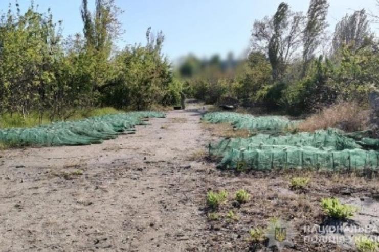 Двоє браконьєрів завдали збитків на три мільйони гривень в акваторії Сухого лиману