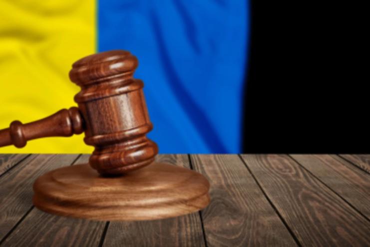 Сільська справедливість із палицею в руках: як бабуся з Задунаївки захищала онука — і що вирішив суд