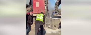 Інспектори Укртрансбезпеки в Одеській області допомогли ліквідувати займання вантажівки просто на дорозі