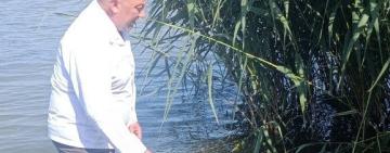 На Одещині виявлено 4 види комарів, які можуть бути переносниками малярії