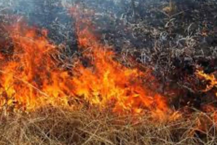 На Одещині при загорянні сухої трави постраждав чоловік