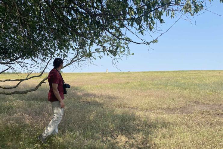 "Асканія-Нова" розширює свої межі: журналісти відвідали майбутній новий дім коня Пржевальського у Буджацьких степах